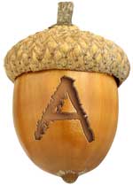 Acorn-A